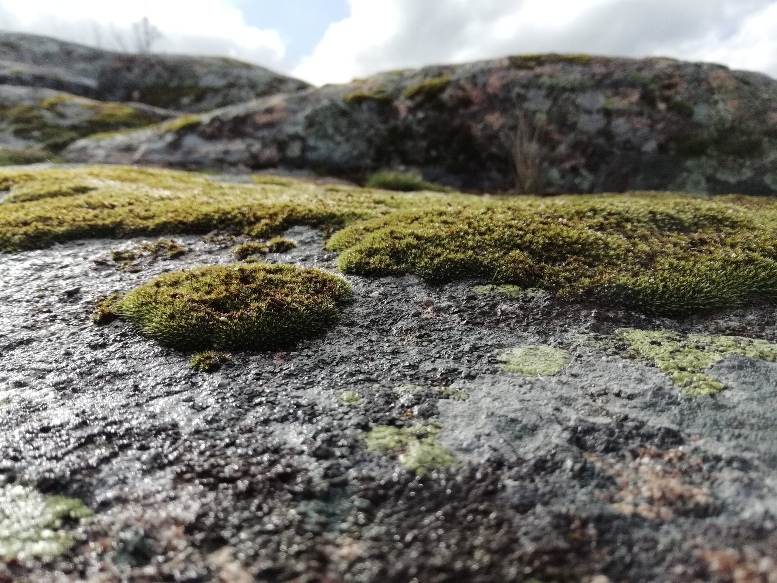 El placer de las pequeñas cosas. Ese gran regalo
